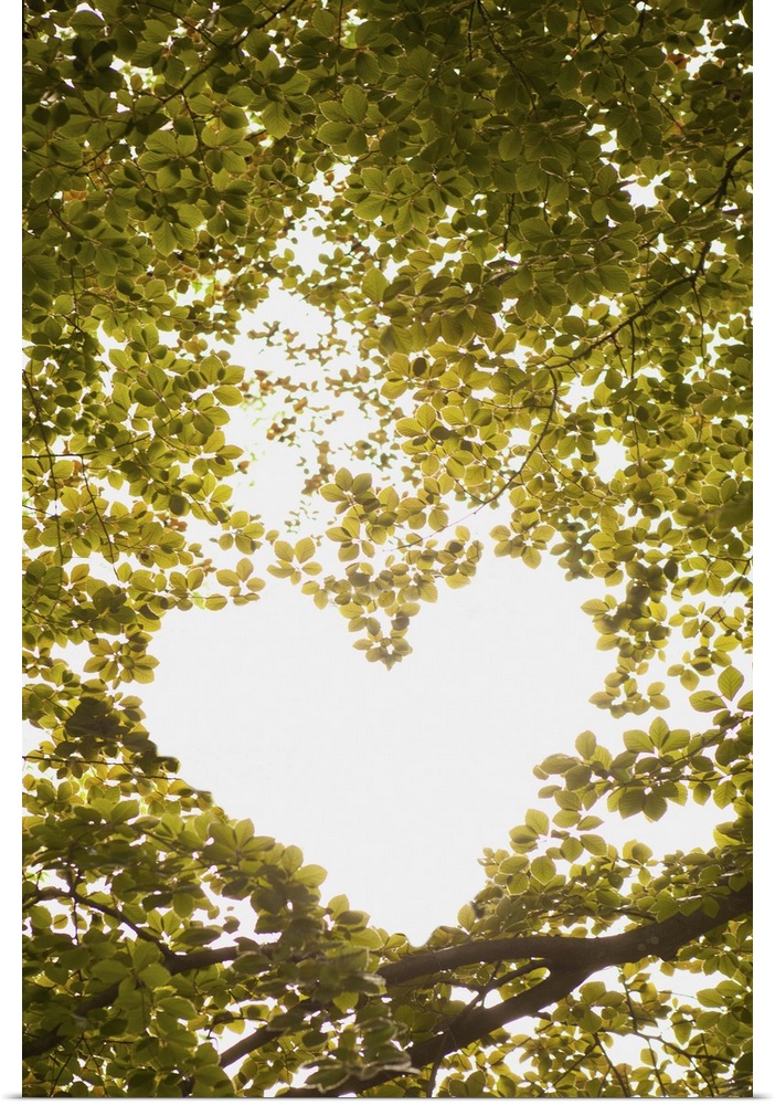 Heart in the Trees II