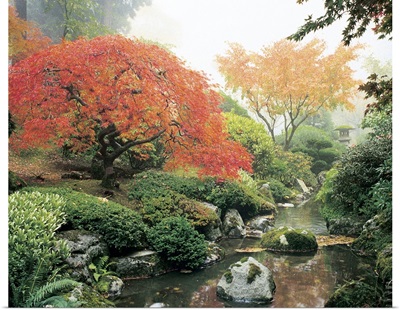 Japanese Garden I