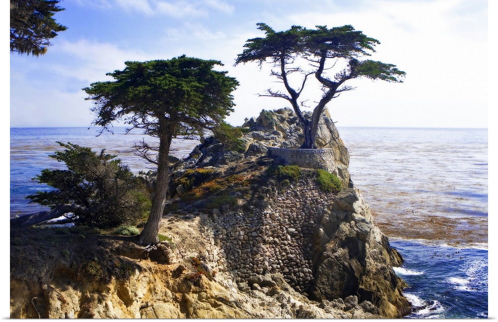 Photograph of a solitary tree atop a cliff overlooking the water in California.
