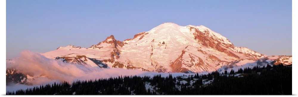 Morning light making Mount Rainier appear slightly pink.