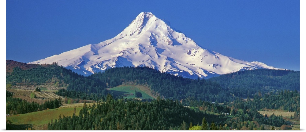 Panoramic photo of Mount Hood against a blue sky.