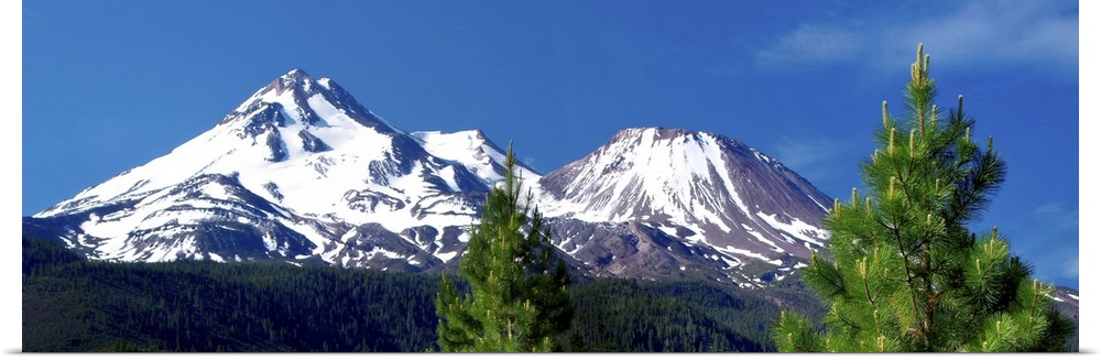 Panoramic view of snow-capped Mount Shasta in California.
