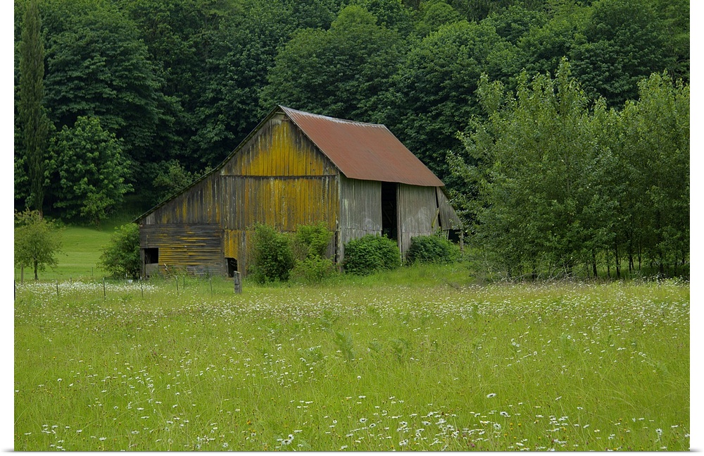 An old wooden barn near a forest at the edge of a field.