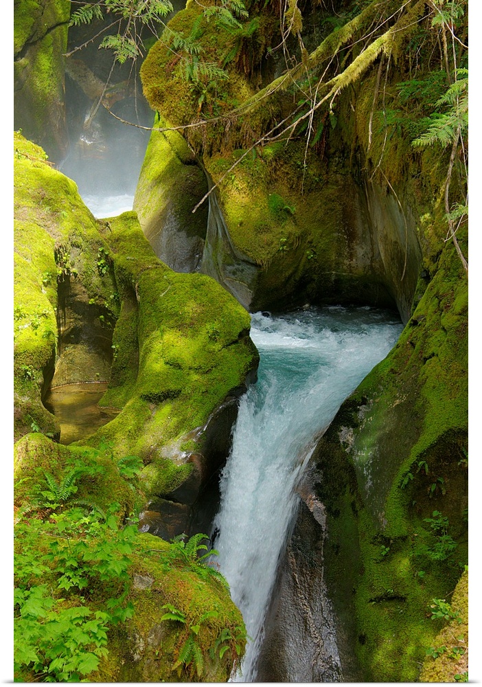 Flowing waterfall surrounded by mossy rocks in Washington state.