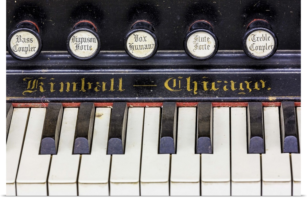Organ Keys I