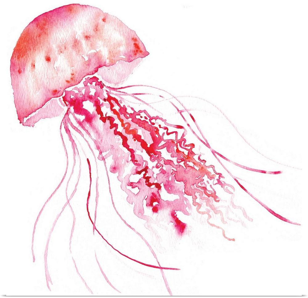 Watercolor painting of a pink jellyfish with long tentacles.