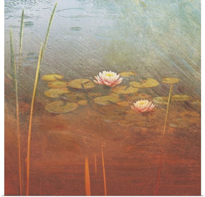 Pond Lilies II