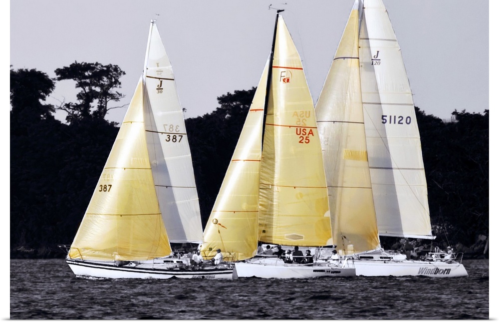 Race at Annapolis 4