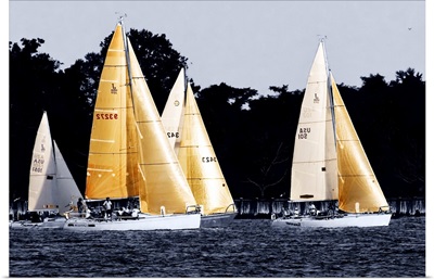 Race at Annapolis 5