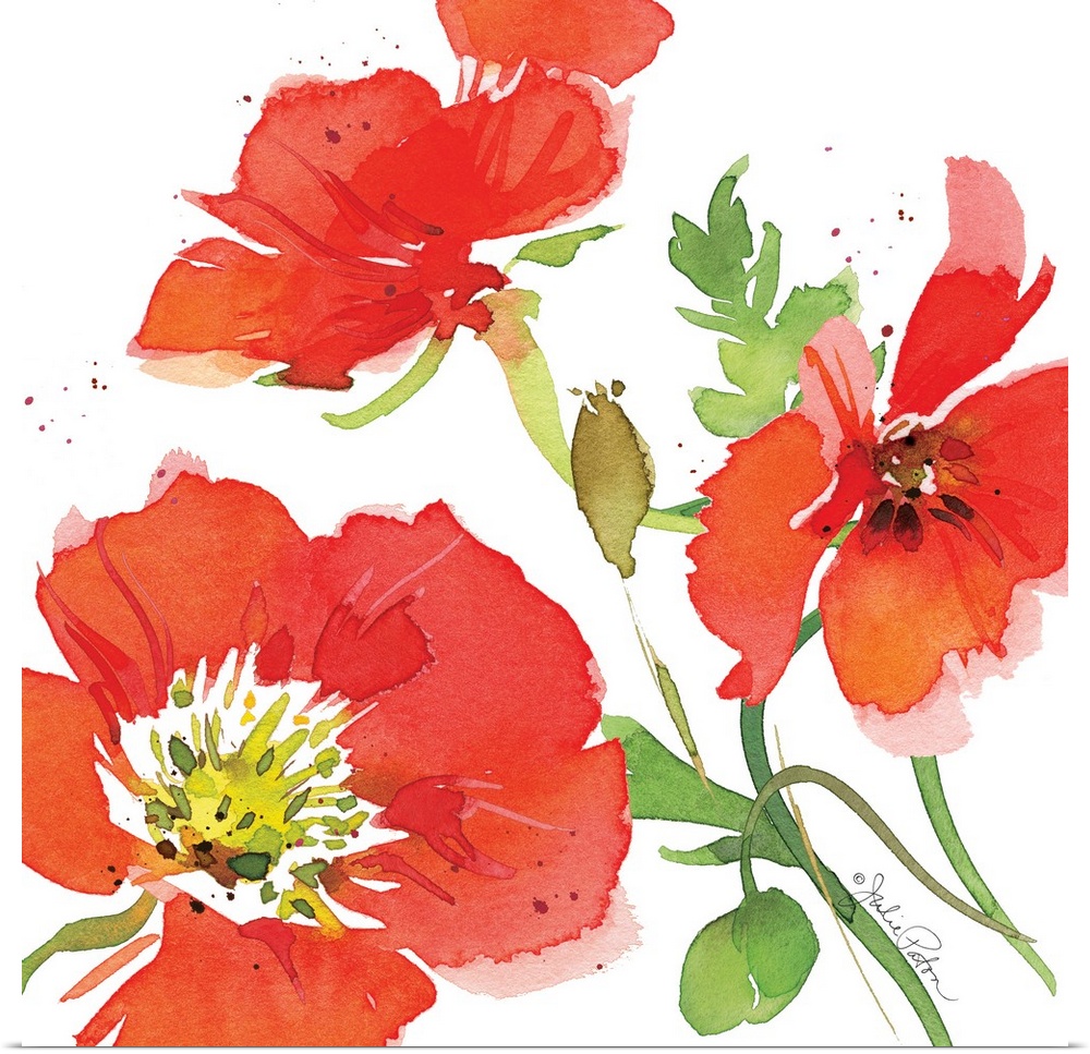 Square watercolor painting of red poppies on a white background with a little bit of red paint splatter.
