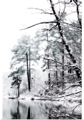 Shelly Lake in Winter I