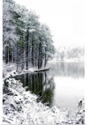 Shelly Lake in Winter II