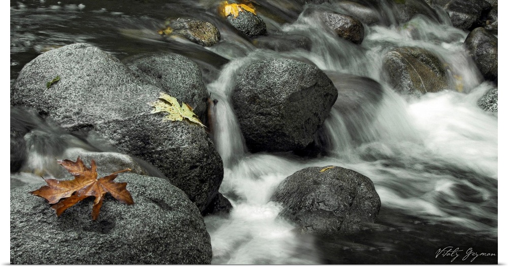 This is a landscape photograph of water rushing over rocks with autumn leaves resting on them.