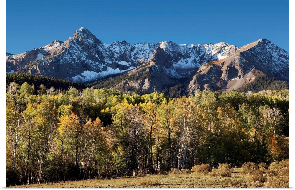 Sneffles Range at Dallas Divide in fall with golden aspens in the San Juan Mountains in Colorado