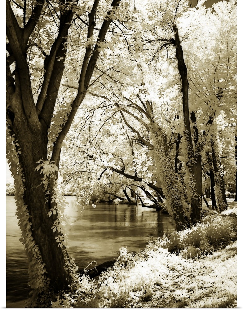 Spring on the River 2