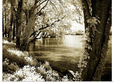 Spring on the River III