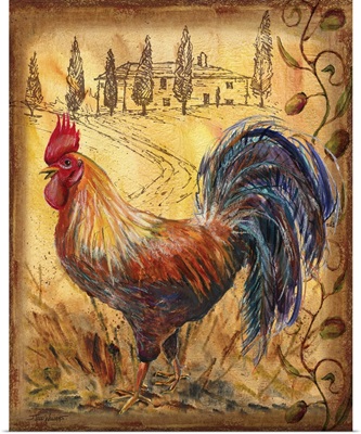 Tuscan Rooster II