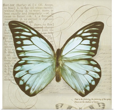 Vintage Butterfly II
