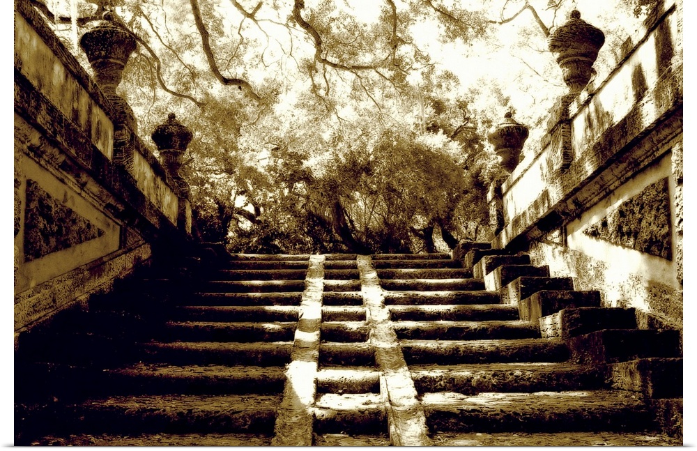 This vintage style photograph is taken looking up a flight of stone steps that are outside underneath a large tree whose l...