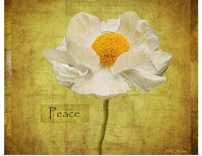 White Poppy Peace