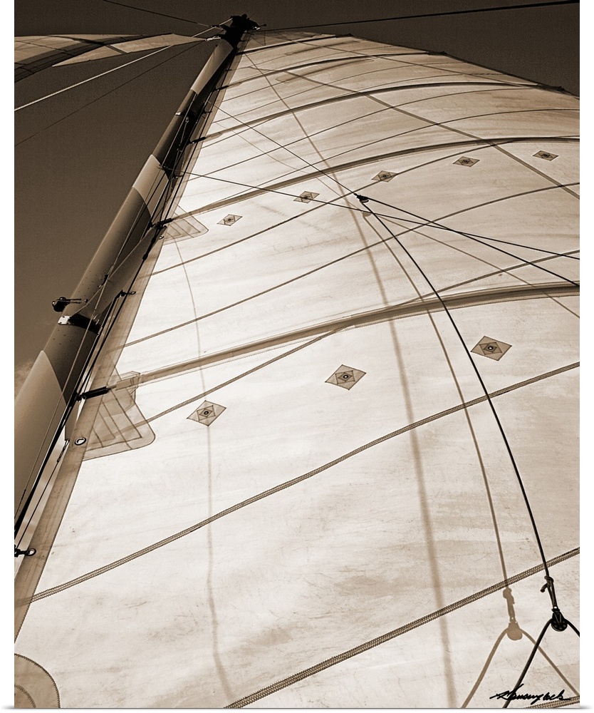 Windward Sail I