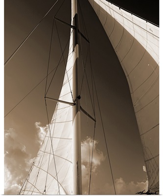 Windward Sail IV