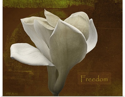 Zen Tulip Freedom