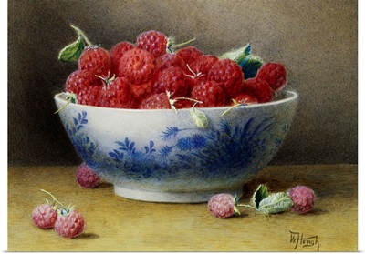 A Bowl Of Raspberries By Willam B. Hough