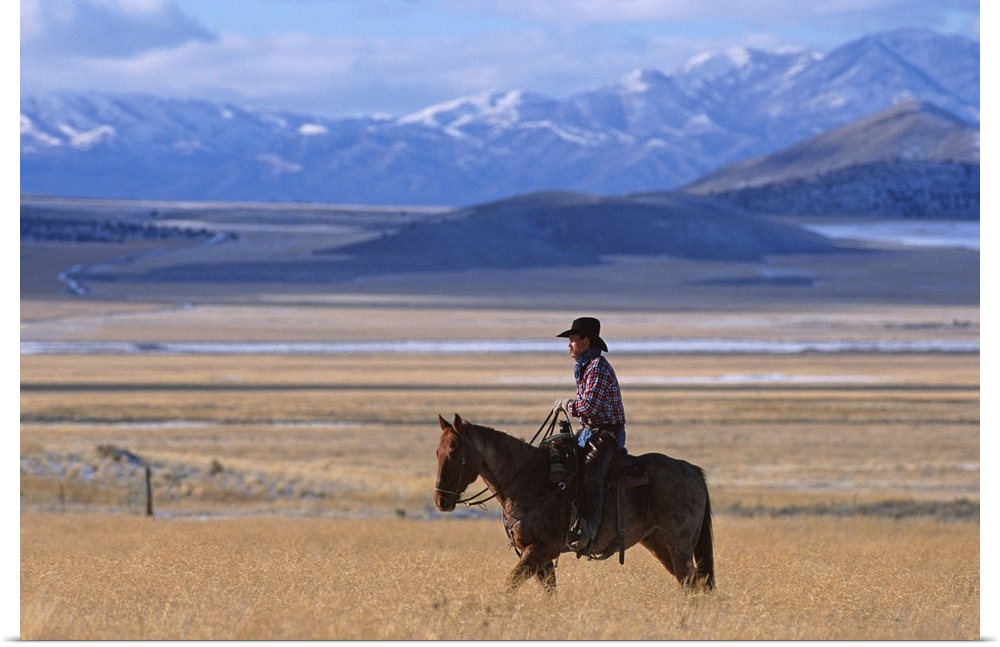 a horizontal image of a cowboy riding his horse in a yellow field alone