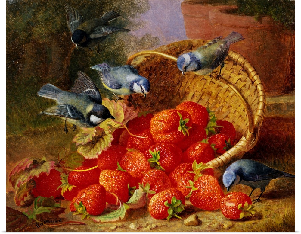 A Feast Of Strawberries (Blue Tits) By Eloise Harriet Stannard