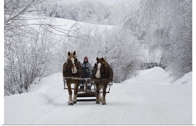 A horse ride in the snow, Quebec, Canada