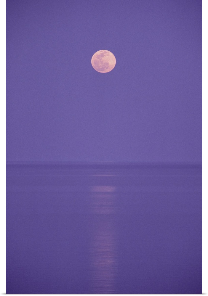 a pink full moon hangs centered over a still body of water in the purple night