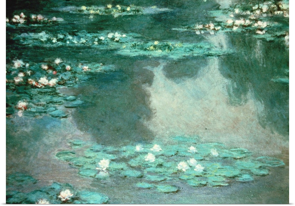 A pond with water lilies