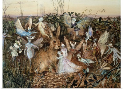 A Rabbit Among The Fairies