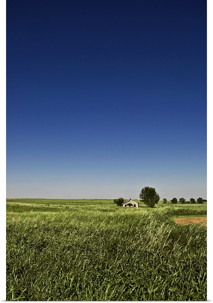 A long-abandoned house sits in a field in the desolate grassy plains of southwest Oklahoma.