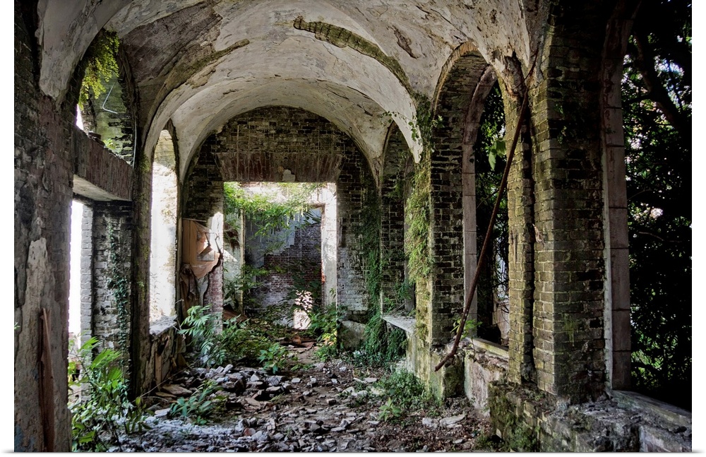 Ruined abandoned overgrown interior of abandoned mansion in Abkhazia, Georgia.