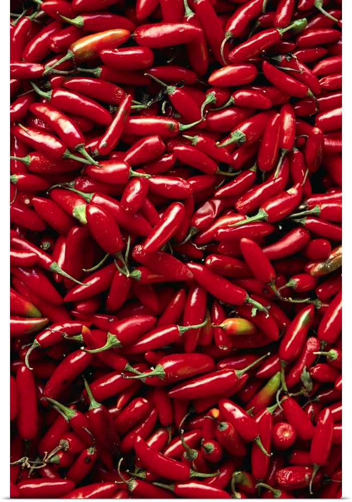 Abundance Of Red Chilies