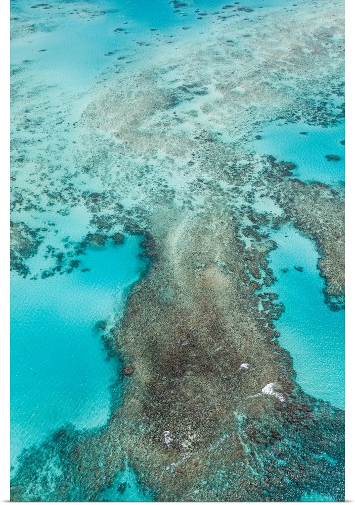 The Great Barrier Reef , the largest reef system in the world.