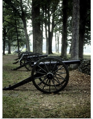 Antique cannons in woods