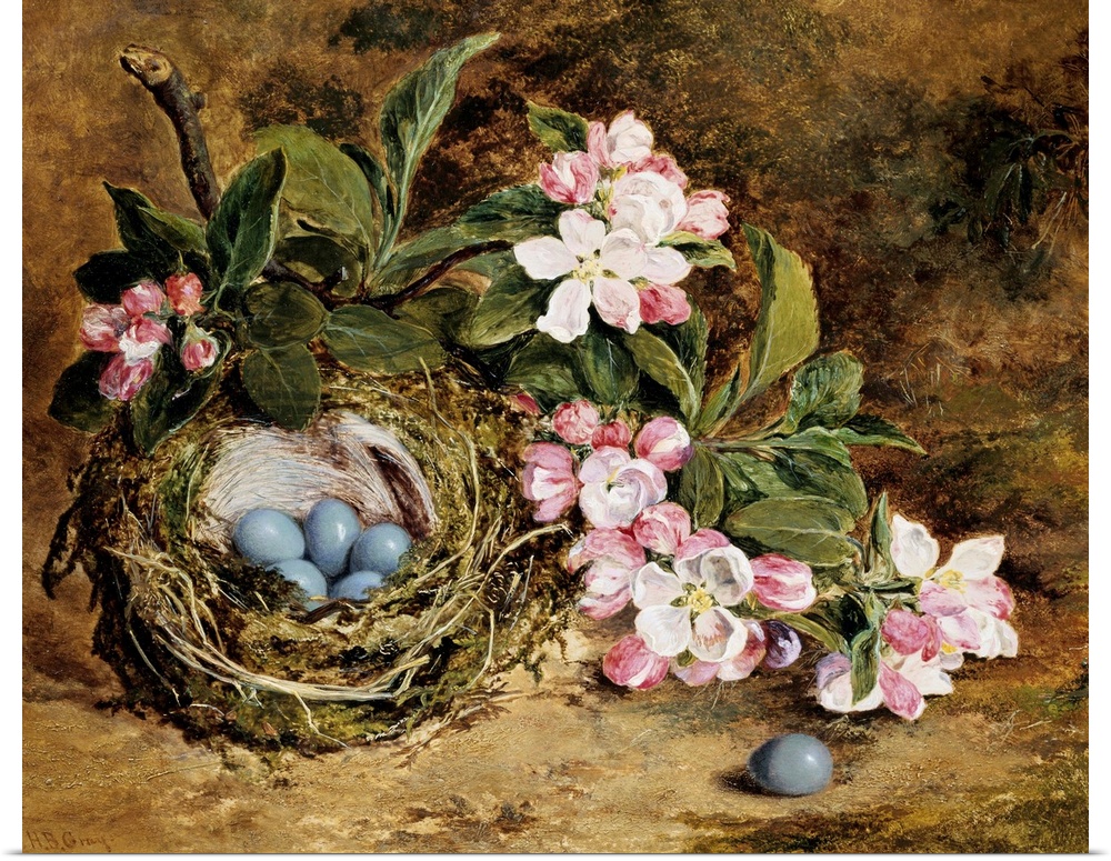 Apple Blossom And A Bird'S Nest By H. Barnard Grey