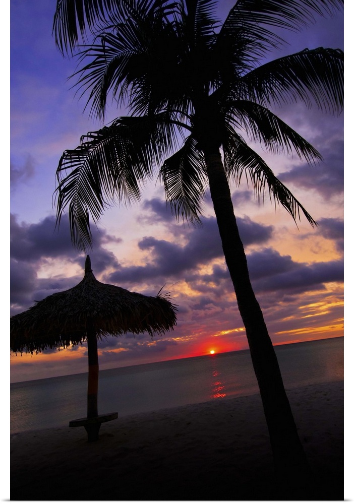 Aruba, silhouette of palm tree and palapa on beach at sunset