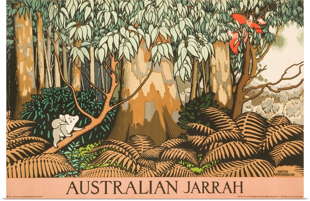 Australian travel poster. Mother and baby Koala bears climb a jarrah / eucalyptus tree. ca 1930s illustrated by Keith Hend...