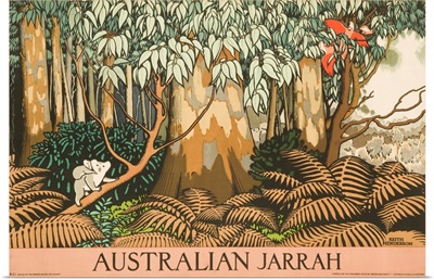 Australian Jarrah Travel Poster