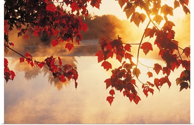 Autumn Leaves, New England, USA