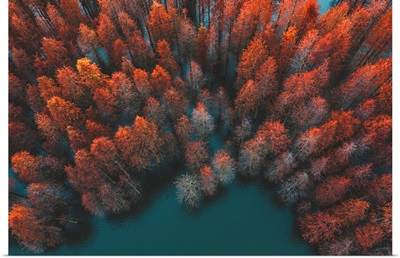 Autumn Trees And Green Lake
