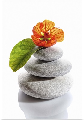 Balanced stones and red flower
