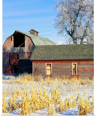 Barn In Winter