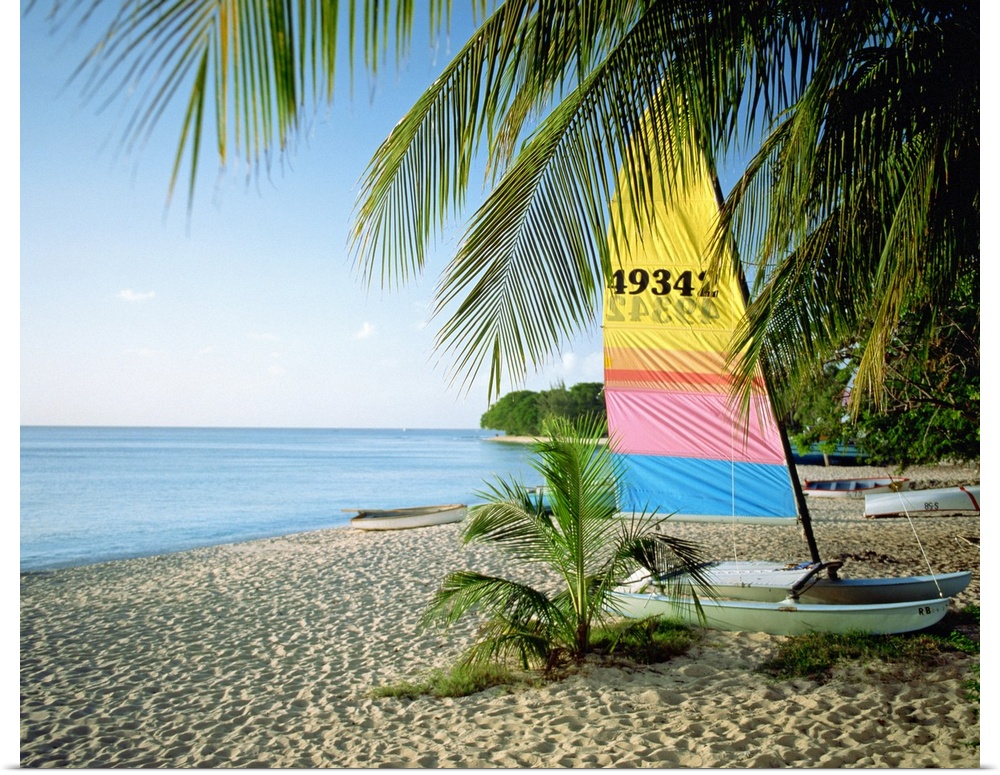 Photograph of boat with colorful sail in the sand under palm trees with ocean in distant.