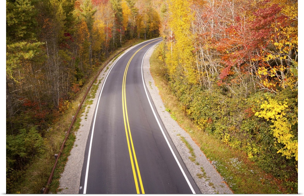 Beautiful curvy road located in Blue Ridge Parkway, North Carolina during fall season.