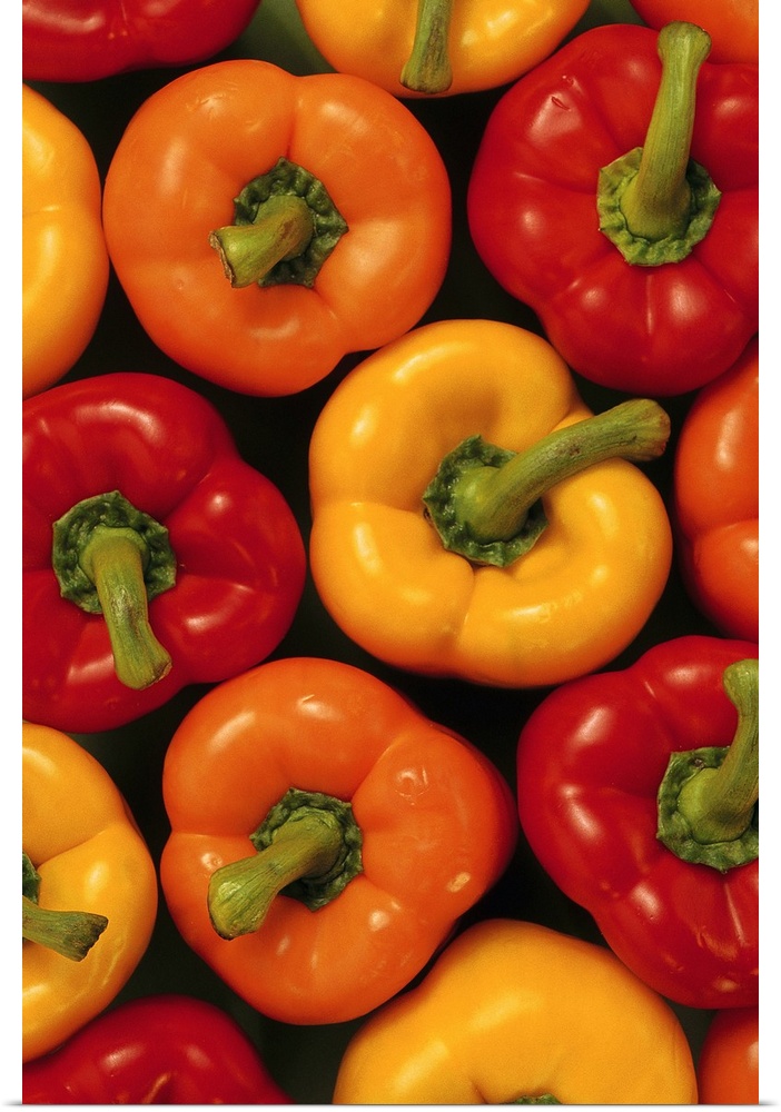Overhead shot of a group of three varieties of freshly picked bell peppers in summer colors.